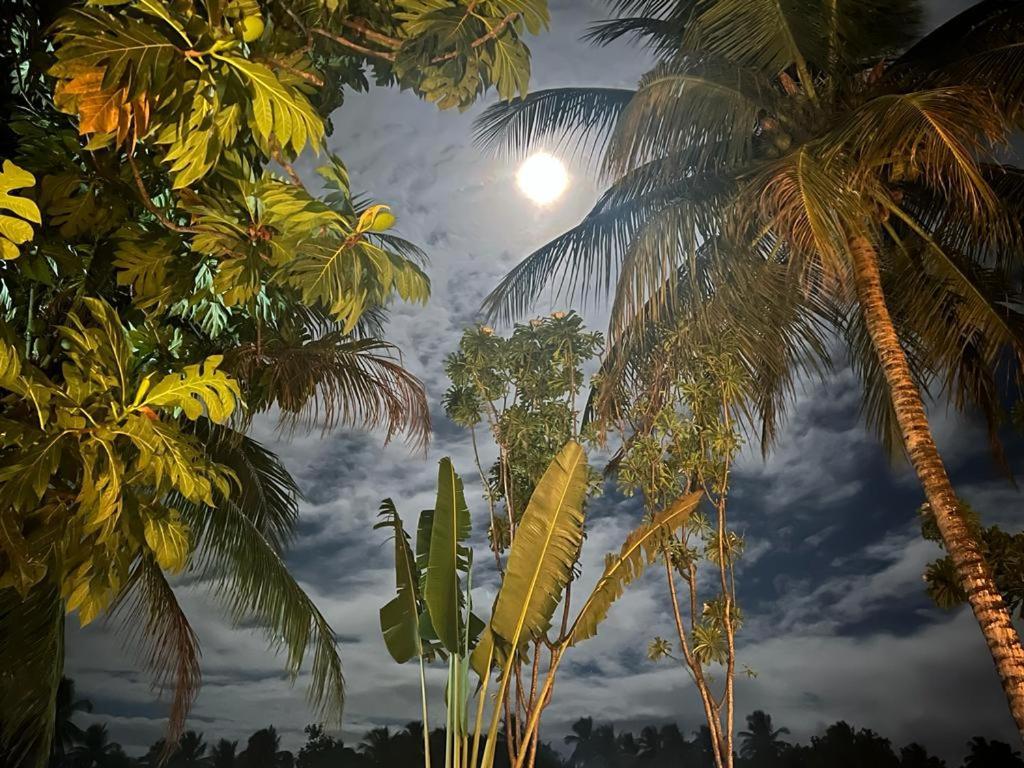 Pousada Vida Sol São Miguel dos Milagres Zewnętrze zdjęcie
